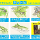 Imagen para el artículo titulado Vas a empezar a ahorrar cuando veas los bocetos del nuevo parque temático de Studio Ghibli en Japón
